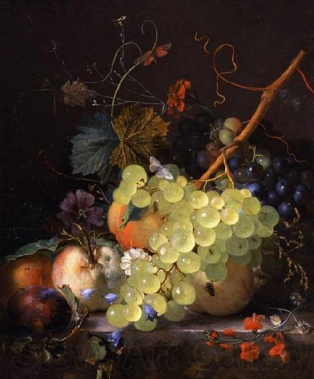Jan van Huysum Still-life of grapes and a peach on a table-top